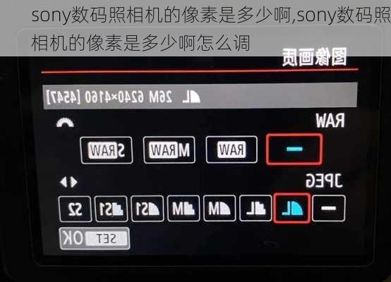 sony数码照相机的像素是多少啊,sony数码照相机的像素是多少啊怎么调