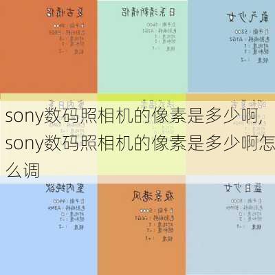 sony数码照相机的像素是多少啊,sony数码照相机的像素是多少啊怎么调