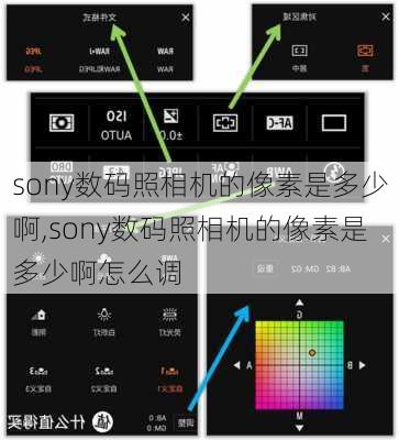 sony数码照相机的像素是多少啊,sony数码照相机的像素是多少啊怎么调