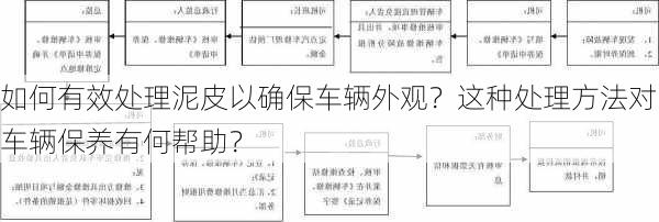 如何有效处理泥皮以确保车辆外观？这种处理方法对车辆保养有何帮助？