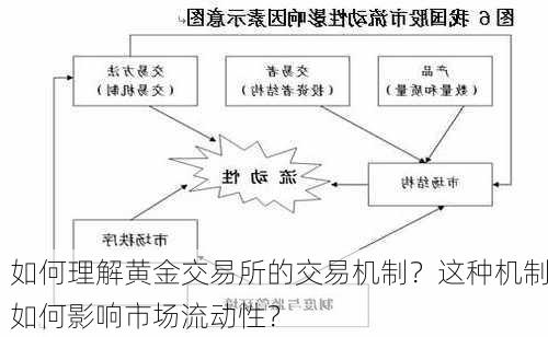 如何理解黄金交易所的交易机制？这种机制如何影响市场流动性？