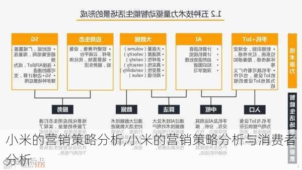 小米的营销策略分析,小米的营销策略分析与消费者分析