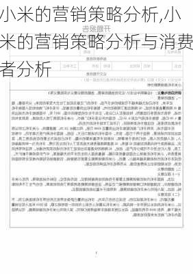 小米的营销策略分析,小米的营销策略分析与消费者分析