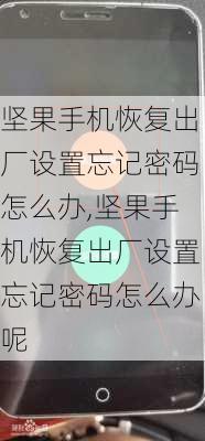 坚果手机恢复出厂设置忘记密码怎么办,坚果手机恢复出厂设置忘记密码怎么办呢