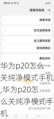 华为p20怎么关纯净模式手机,华为p20怎么关纯净模式手机