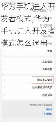 华为手机进入开发者模式,华为手机进入开发者模式怎么退出