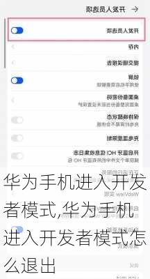 华为手机进入开发者模式,华为手机进入开发者模式怎么退出