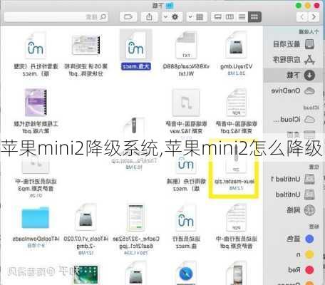 苹果mini2降级系统,苹果mini2怎么降级