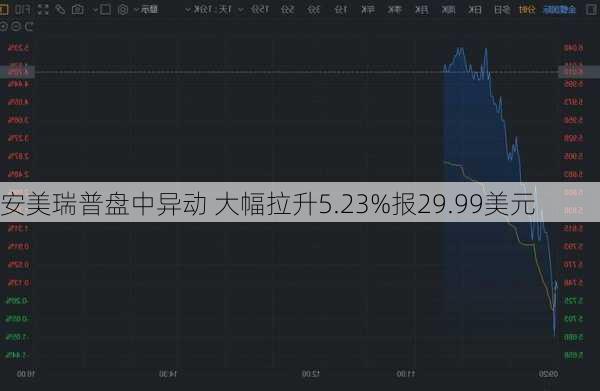 安美瑞普盘中异动 大幅拉升5.23%报29.99美元