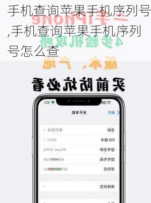 手机查询苹果手机序列号,手机查询苹果手机序列号怎么查