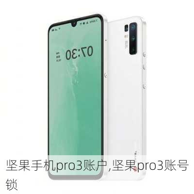 坚果手机pro3账户,坚果pro3账号锁