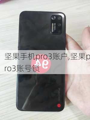 坚果手机pro3账户,坚果pro3账号锁