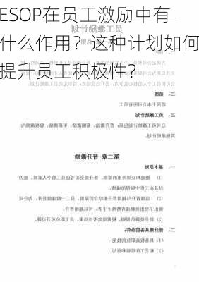 ESOP在员工激励中有什么作用？这种计划如何提升员工积极性？