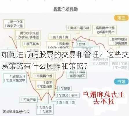 如何进行码股票的交易和管理？这些交易策略有什么风险和策略？