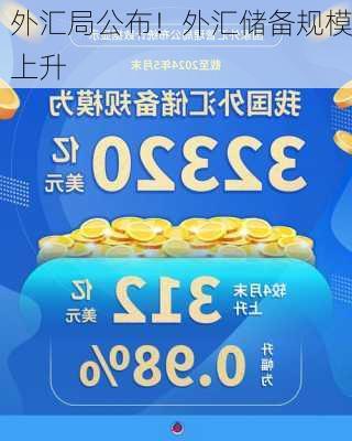 外汇局公布！外汇储备规模上升