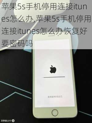 苹果5s手机停用连接itunes怎么办,苹果5s手机停用连接itunes怎么办恢复好要密码吗