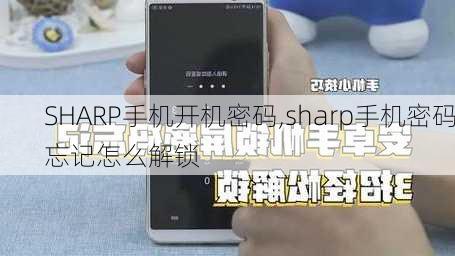 SHARP手机开机密码,sharp手机密码忘记怎么解锁