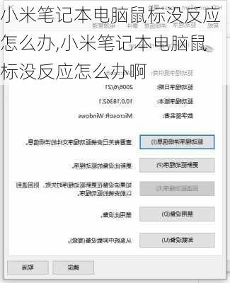 小米笔记本电脑鼠标没反应怎么办,小米笔记本电脑鼠标没反应怎么办啊