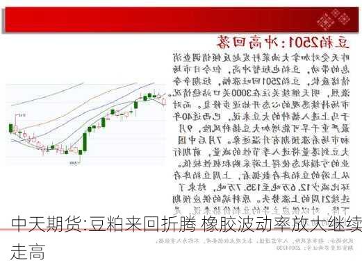 中天期货:豆粕来回折腾 橡胶波动率放大继续走高