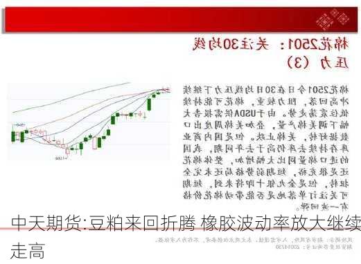 中天期货:豆粕来回折腾 橡胶波动率放大继续走高