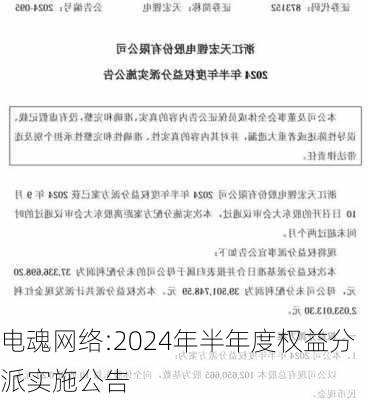 电魂网络:2024年半年度权益分派实施公告