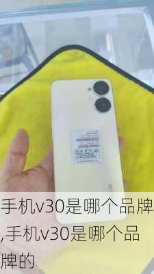 手机v30是哪个品牌,手机v30是哪个品牌的