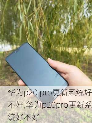 华为p20 pro更新系统好不好,华为p20pro更新系统好不好