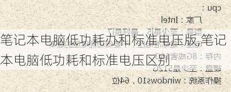 笔记本电脑低功耗办和标准电压版,笔记本电脑低功耗和标准电压区别