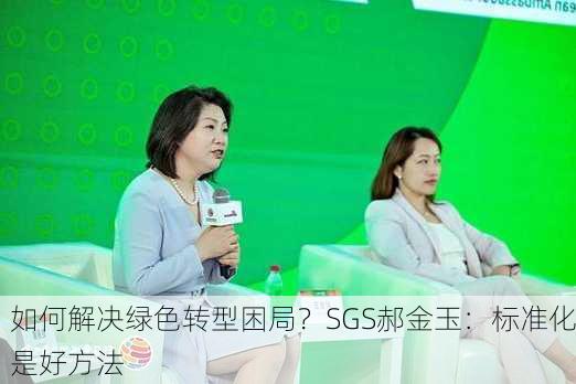 如何解决绿色转型困局？SGS郝金玉：标准化是好方法