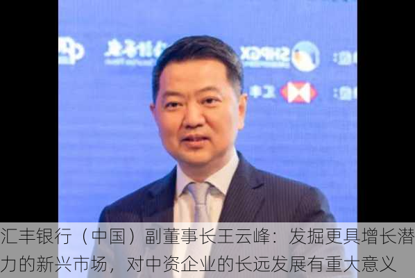 汇丰银行（中国）副董事长王云峰：发掘更具增长潜力的新兴市场，对中资企业的长远发展有重大意义