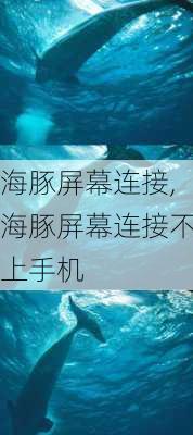 海豚屏幕连接,海豚屏幕连接不上手机