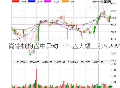 尚德机构盘中异动 下午盘大幅上涨5.20%