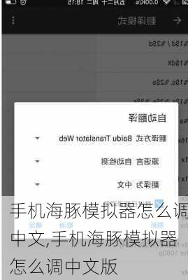 手机海豚模拟器怎么调中文,手机海豚模拟器怎么调中文版