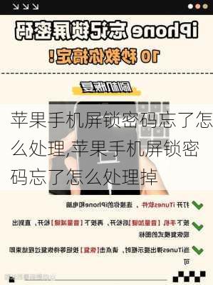 苹果手机屏锁密码忘了怎么处理,苹果手机屏锁密码忘了怎么处理掉