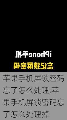 苹果手机屏锁密码忘了怎么处理,苹果手机屏锁密码忘了怎么处理掉