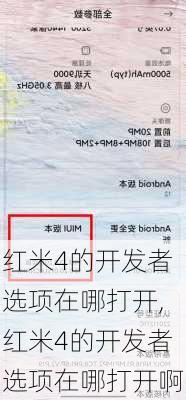 红米4的开发者选项在哪打开,红米4的开发者选项在哪打开啊