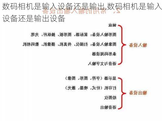 数码相机是输入设备还是输出,数码相机是输入设备还是输出设备