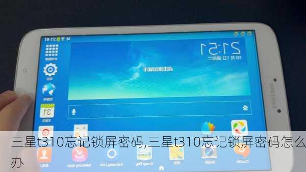 三星t310忘记锁屏密码,三星t310忘记锁屏密码怎么办