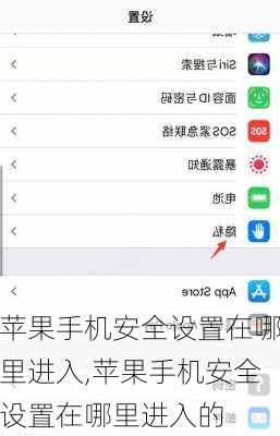 苹果手机安全设置在哪里进入,苹果手机安全设置在哪里进入的