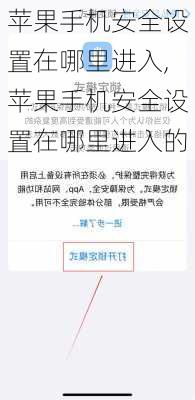 苹果手机安全设置在哪里进入,苹果手机安全设置在哪里进入的
