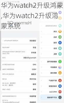 华为watch2升级鸿蒙,华为watch2升级鸿蒙系统