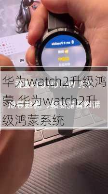 华为watch2升级鸿蒙,华为watch2升级鸿蒙系统