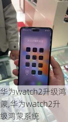 华为watch2升级鸿蒙,华为watch2升级鸿蒙系统