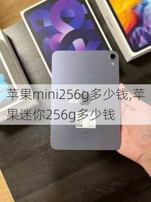 苹果mini256g多少钱,苹果迷你256g多少钱