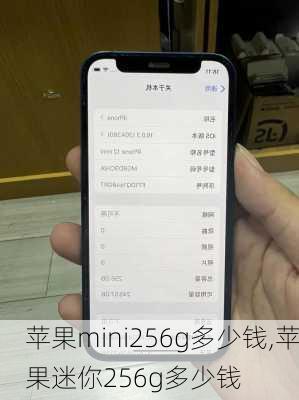 苹果mini256g多少钱,苹果迷你256g多少钱