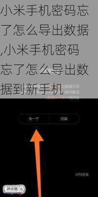 小米手机密码忘了怎么导出数据,小米手机密码忘了怎么导出数据到新手机