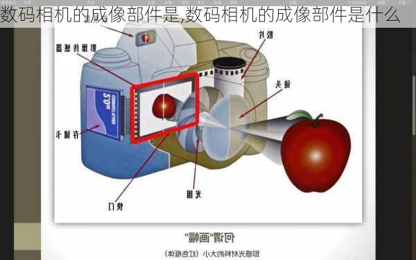 数码相机的成像部件是,数码相机的成像部件是什么