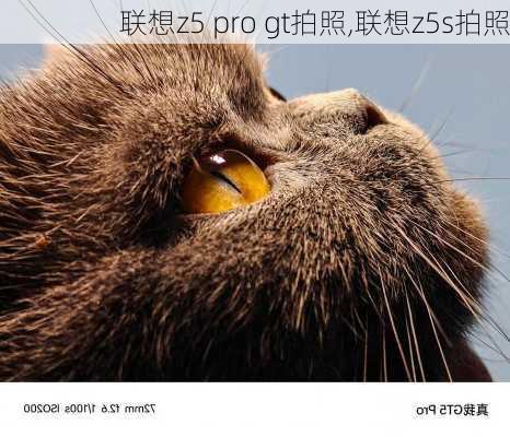 联想z5 pro gt拍照,联想z5s拍照