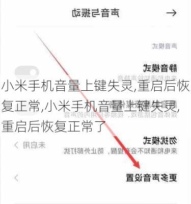 小米手机音量上键失灵,重启后恢复正常,小米手机音量上键失灵,重启后恢复正常了