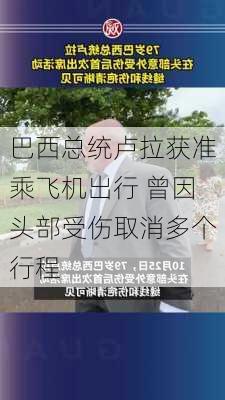 巴西总统卢拉获准乘飞机出行 曾因头部受伤取消多个行程